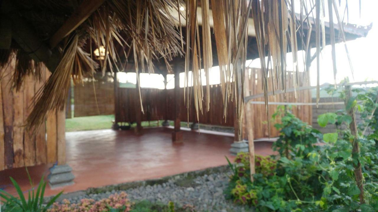 Bali Tiger Hideaway Hotel Pulukan Esterno foto