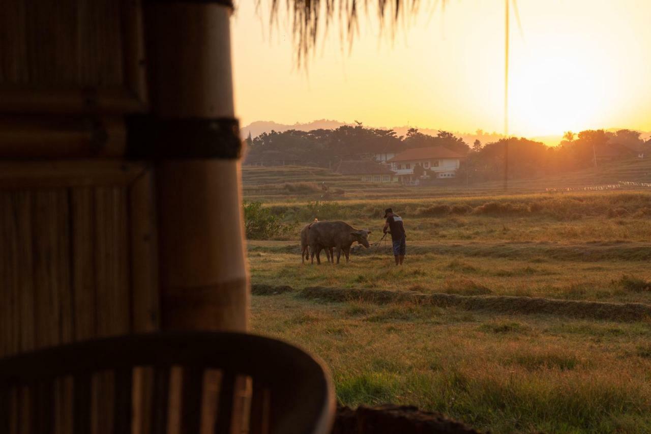 Bali Tiger Hideaway Hotel Pulukan Esterno foto