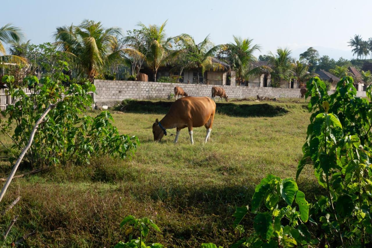 Bali Tiger Hideaway Hotel Pulukan Esterno foto